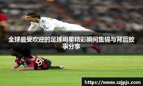与反击效率